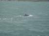 dsc03021_small.jpg