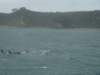 dsc03022_small.jpg