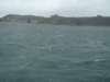 dsc03023_small.jpg