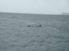 dsc03024_small.jpg