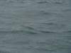 dsc03032_small.jpg