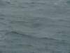 dsc03033_small.jpg