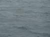 dsc03034_small.jpg