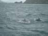 dsc03038_small.jpg