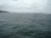 dsc03039_small.jpg