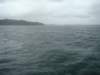 dsc03041_small.jpg