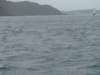 dsc03042_small.jpg