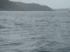 dsc03045_small.jpg