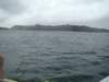 dsc03049_small.jpg