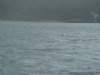 dsc03055_small.jpg