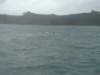 dsc03059_small.jpg