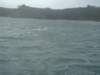 dsc03060_small.jpg