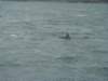 dsc03064_small.jpg
