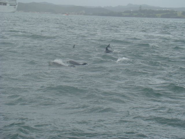 dsc03069.jpg
