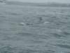 dsc03069_small.jpg