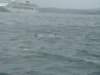 dsc03070_small.jpg