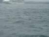 dsc03071_small.jpg