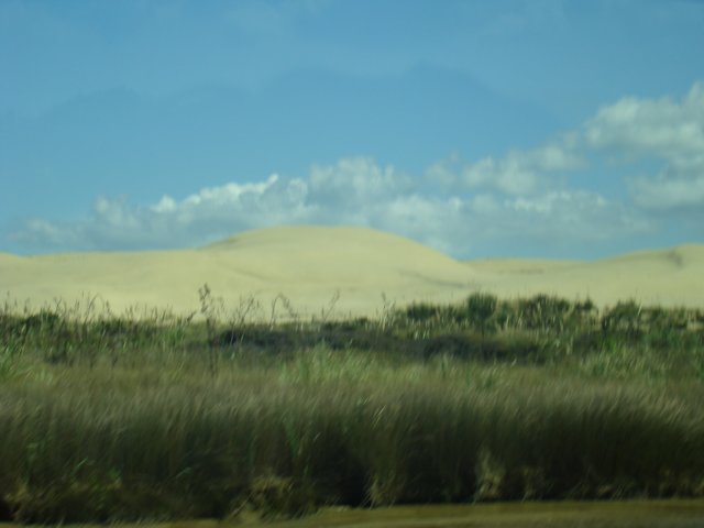 dsc02816.jpg