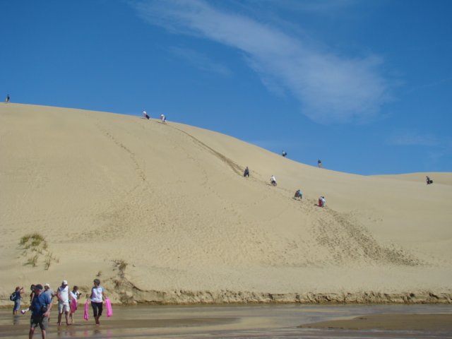 dsc02818.jpg