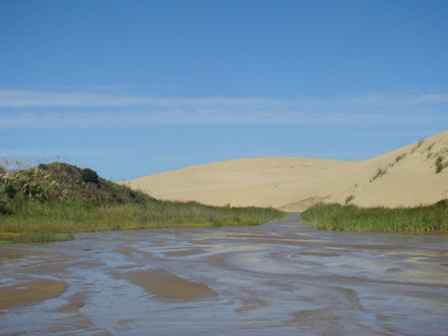dsc02826.jpg