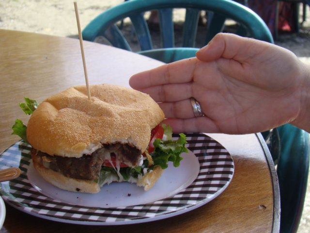 dsc02313.jpg