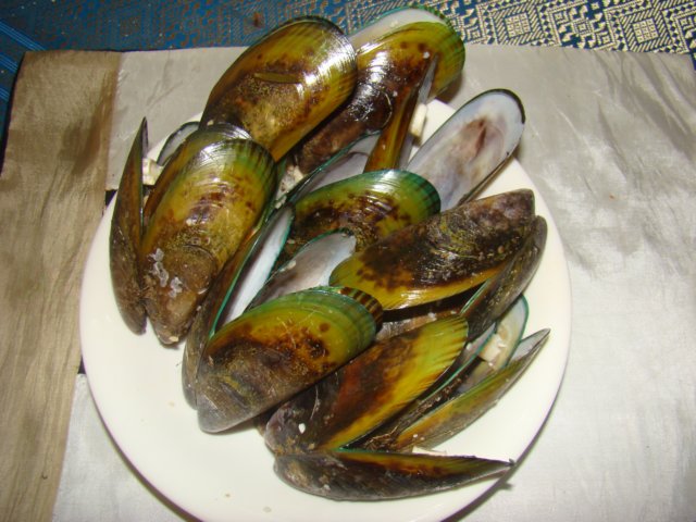 dsc03256.jpg