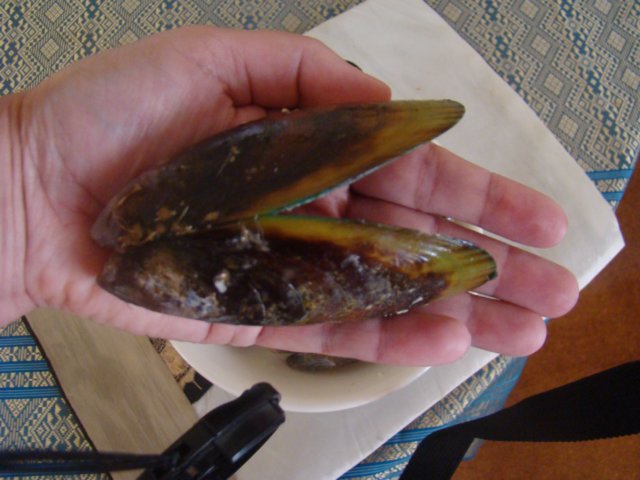 dsc03258.jpg