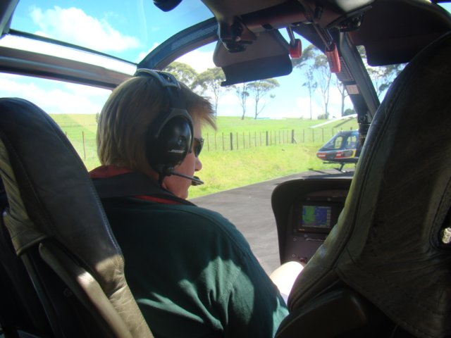 dsc02582.jpg