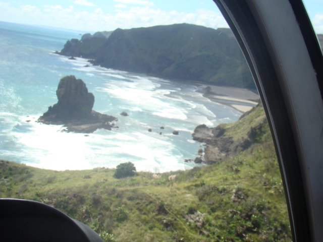 dsc02603.jpg
