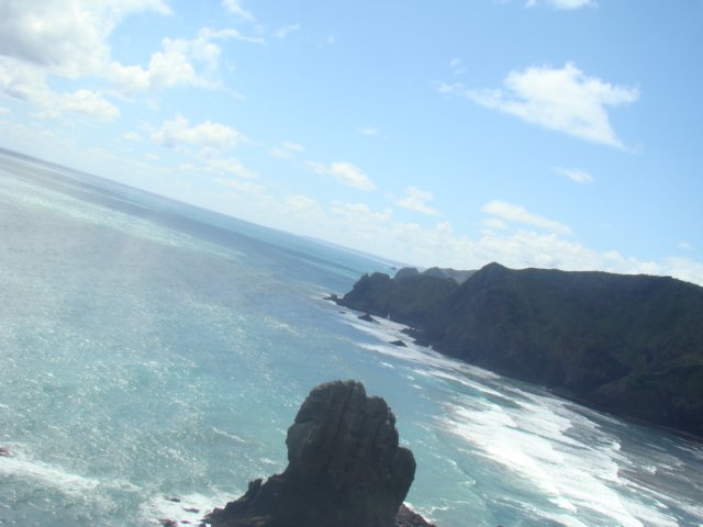dsc02609.jpg