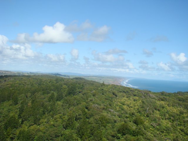 dsc02639.jpg