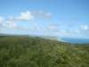 dsc02639_small.jpg