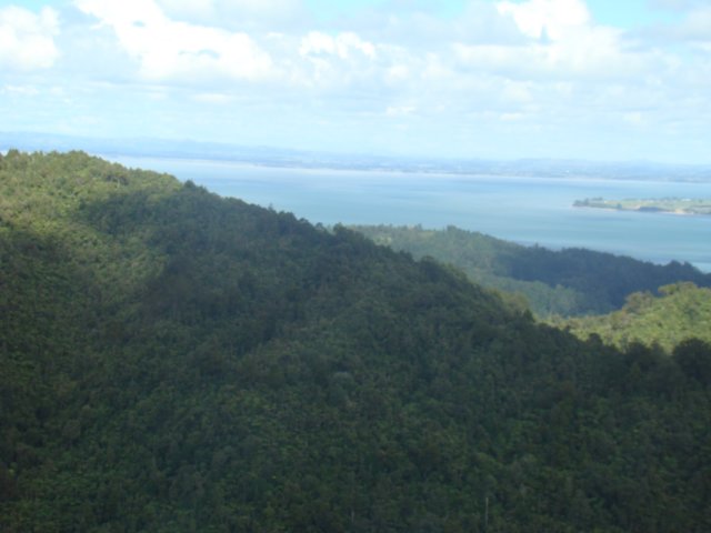 dsc02648.jpg