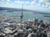 dsc02681_small.jpg