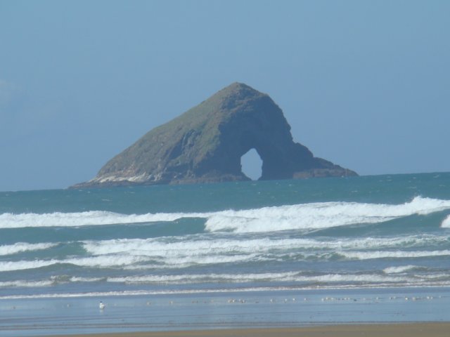 dsc02807.jpg