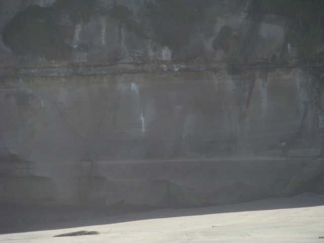 dsc03193.jpg