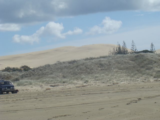 dsc02813.jpg