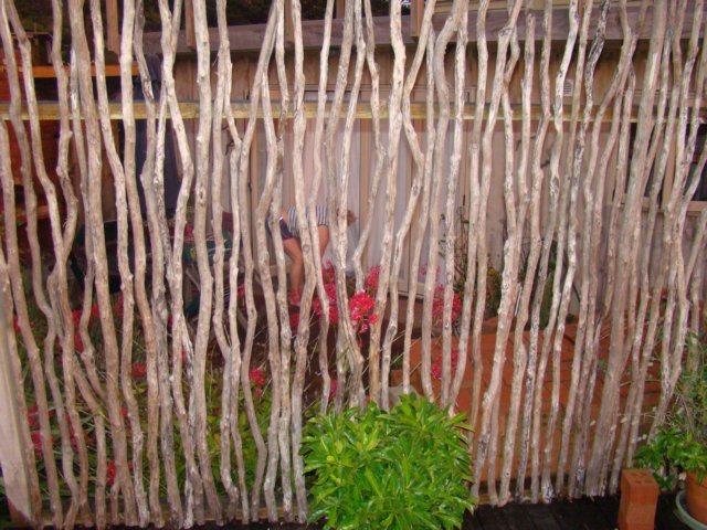 dsc02293.jpg