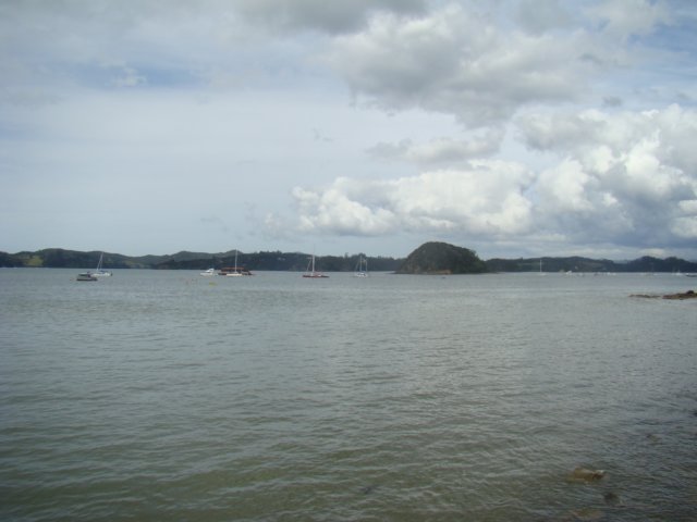 dsc02762.jpg