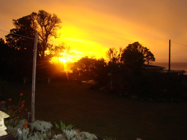 dsc02290.jpg