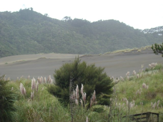 dsc03276.jpg