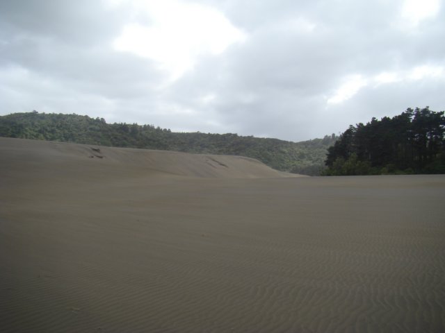 dsc03280.jpg