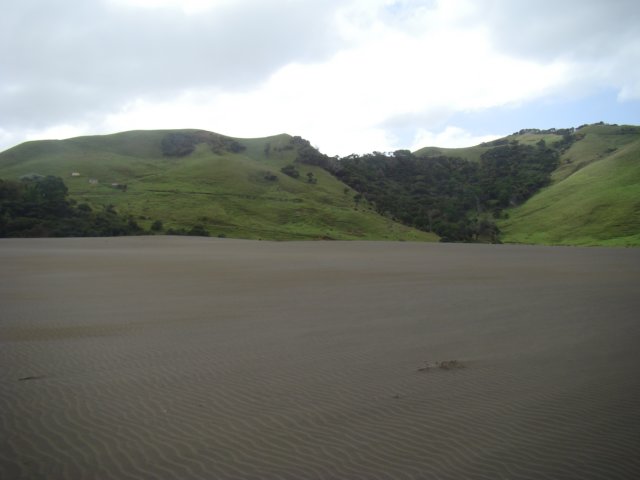 dsc03283.jpg