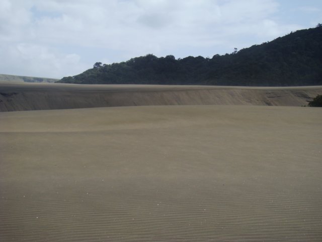 dsc03290.jpg