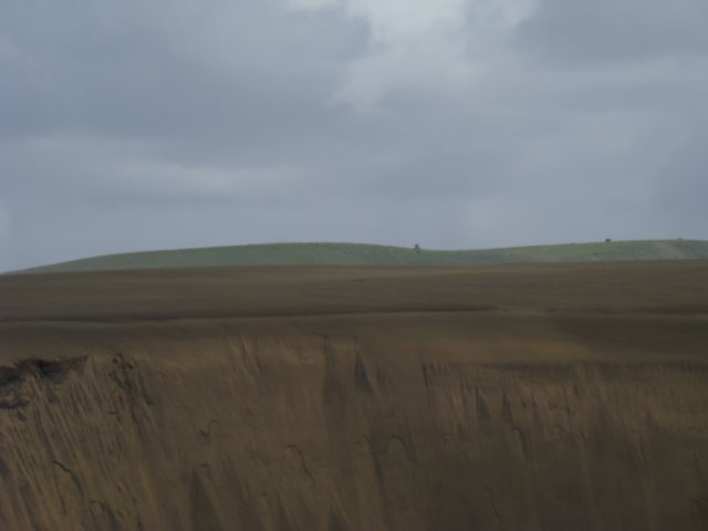 dsc03294.jpg
