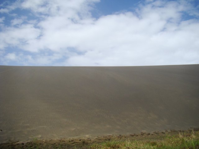 dsc03295.jpg