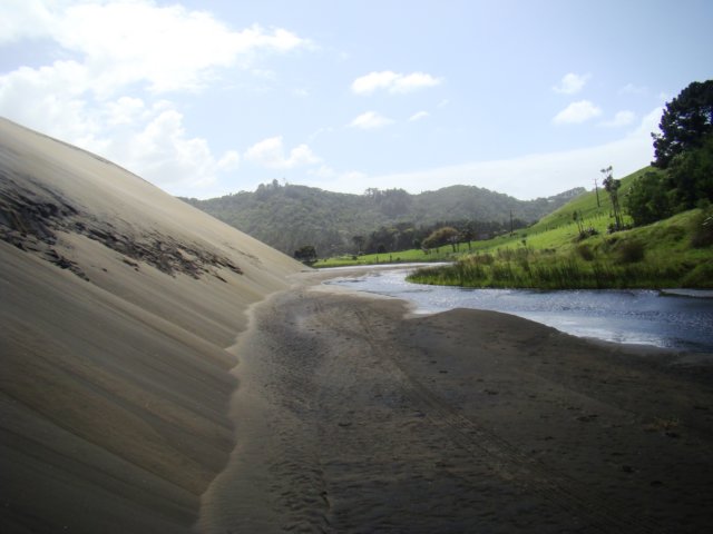 dsc03301.jpg