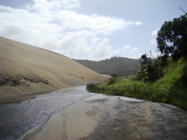 dsc03304.jpg