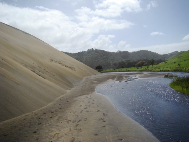 dsc03307.jpg