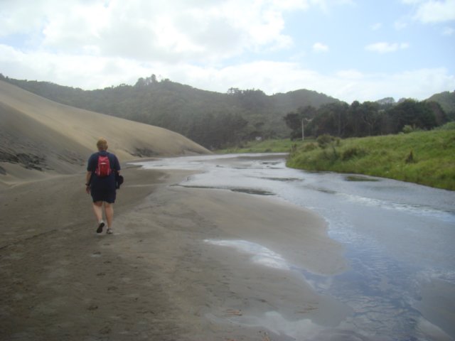 dsc03313.jpg